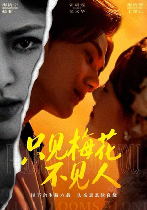 只见梅花不见人（63集）好看的短剧电影