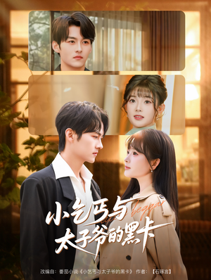 小乞丐与太子爷的黑卡（60集）免费看全集