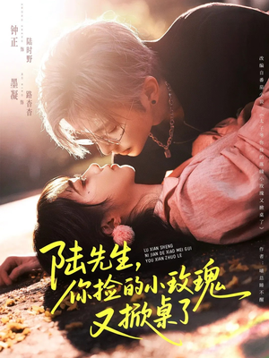 陆先生，你捡的小玫瑰又掀桌了（74集）精彩短剧天天看