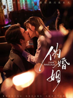 伪婚姻（75集）全集完整版