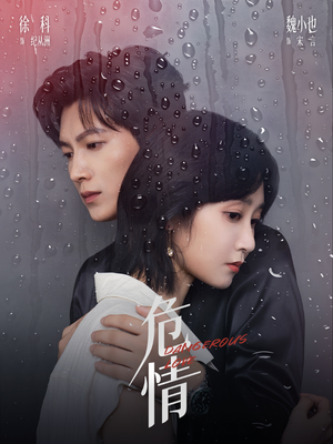 危情(65集) 危情(65集)番茄短剧免费看