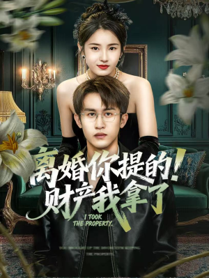 离婚你提的！财产我拿了（63集）精彩短剧热播