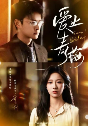 爱止青梅(60集) 爱止青梅(60集)男主角是谁