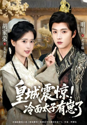 皇城震惊冷面太子有崽了（105集）爆火短剧抢先看