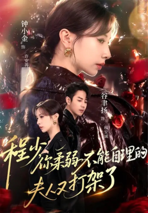 程少你柔弱不能自理的夫人又打架了（60集）红果短剧免费看