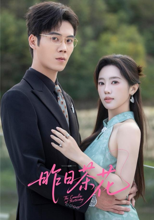 昨日茶花（56集）原创精彩短剧