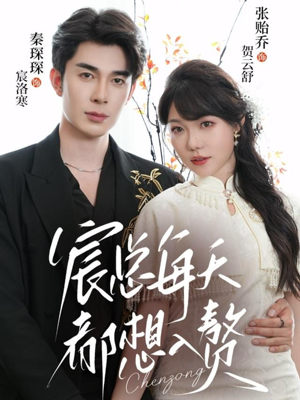 宸总每天都想入赘（65集）一个短剧看全集