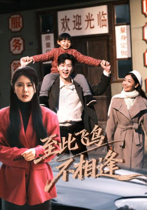 至此飞鸟不相逢(70集) 至此飞鸟不相逢(70集)热门爆款短剧