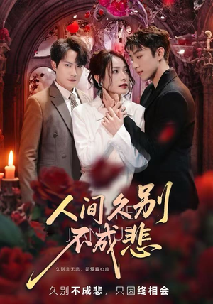 人间久别不成悲（80集）精彩好看短剧