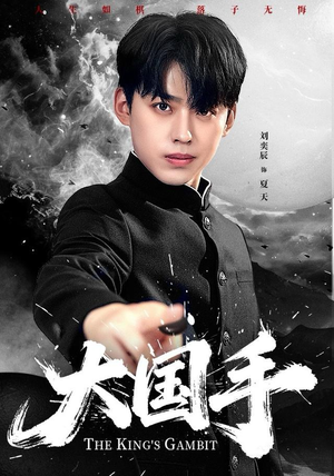 大国手（76集）古装热门短剧