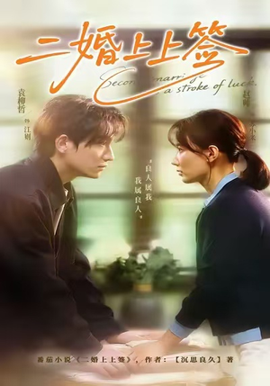 二婚上上签(71集) 二婚上上签(71集)短剧小说在线看