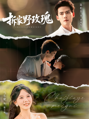 拆家野玫瑰（80集）短剧追不停