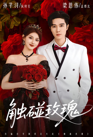 触碰玫瑰(80集) 触碰玫瑰(80集)短剧太好看了吧