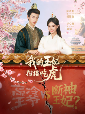 我的王妃扮猪吃虎（79集）免费在线看全集
