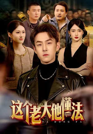 这个老大他懂法(100集) 这个老大他懂法(100集)短剧太好看了