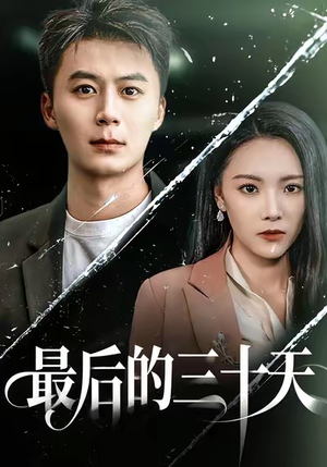 最后的三十天（52集）全集完整版