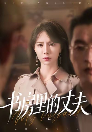 书房里的丈夫(100集) 书房里的丈夫(100集)小短剧推荐