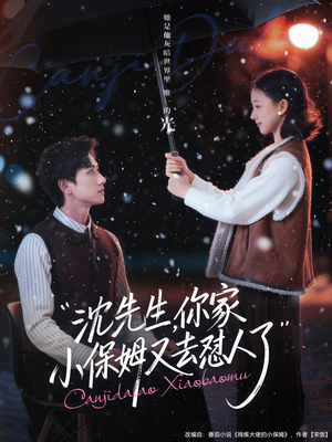 沈先生,你家小保姆又去怼人了(82集) 沈先生,你家小保姆又去怼人了(82集)热门短剧榜单