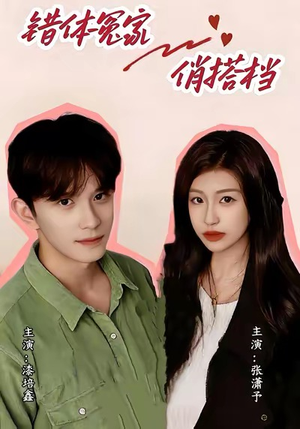 错体冤家俏搭档（60集）河马免费短剧