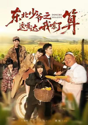 东北少爷之这嘎达我嗦了算（46集）好看的短剧推荐