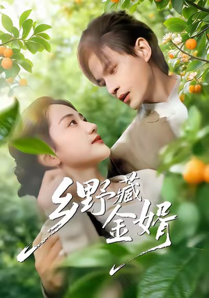乡野藏金婿（50集）短剧推荐分享