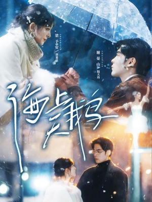 海上天鹅(70集) 海上天鹅(70集)超级好看的短剧