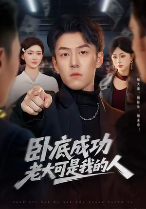 卧底成功老大可是我的人（99集）热门短剧追不停