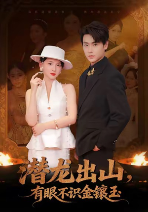 潜龙出山有眼不识金镶玉（78集）常回家看看短剧