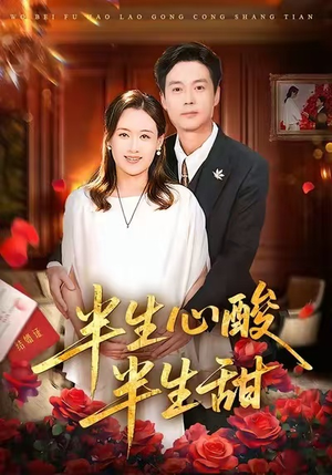 半生心酸半生甜（70集）网络小短剧