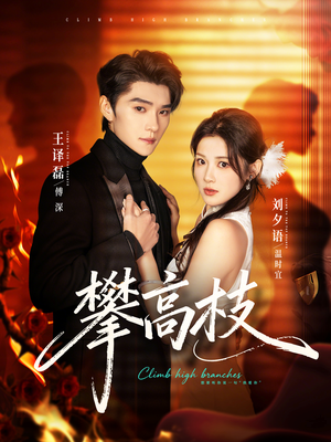 攀高枝（70集）热门短剧看不停