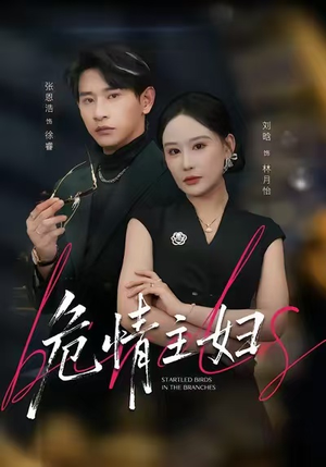 危情主妇(60集) 危情主妇(60集)直接追到结尾