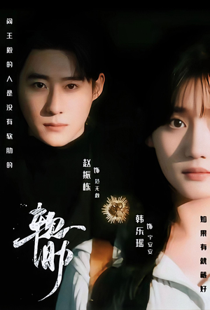 软肋（62集）在哪看