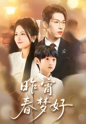 昨宵春梦好（90集）全集我都看完了