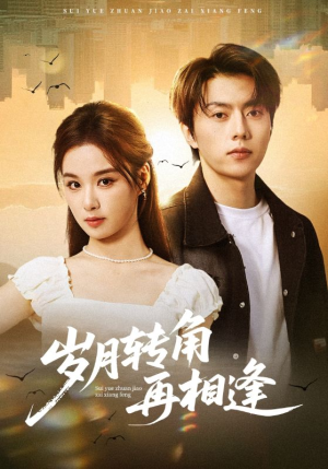 岁月转角再相逢(80集) 岁月转角再相逢(80集)无需会员轻松看
