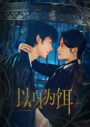 以身为饵(61集) 以身为饵(61集)去哪里看