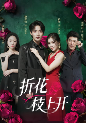 折花枝上开（51集）每天分享短剧