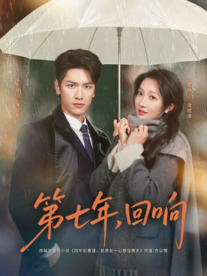 第七年回响(81集) 第七年回响(81集)第三季