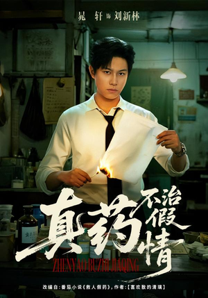 真药不治假情（60集）在哪里可以看