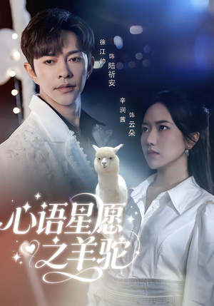 心语星愿之羊驼(60集) 心语星愿之羊驼(60集)抢先看新短剧