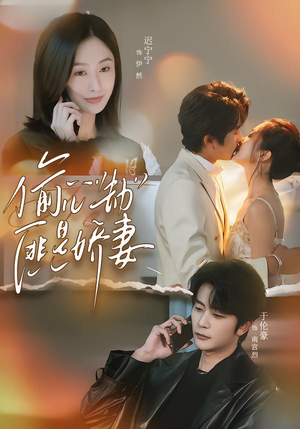 偷“心”劫匪是娇妻（61集）在线观看完整版