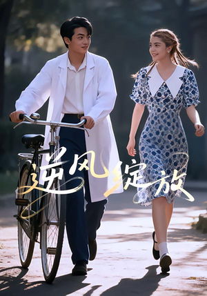 逆风绽放（55集）流畅播放免费看