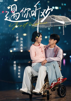 遇你听欢(80集) 遇你听欢(80集)短剧在线更新