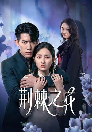 荆棘之花（100集）精彩的短剧