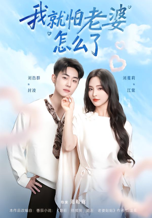 我就怕老婆怎么了（88集）短剧介绍