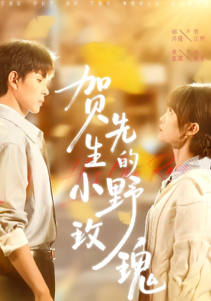 贺先生的小野玫瑰（99集）免费看