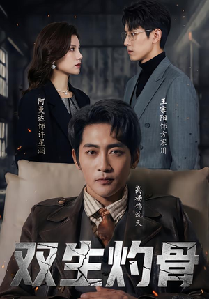 双生灼骨（60集）直接追到结尾