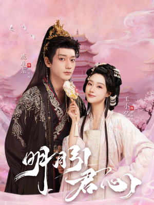 明月引君心（74集）好看短剧看不停