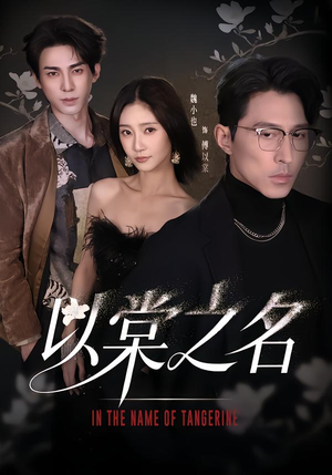 以棠之名（66集）百度网盘资源