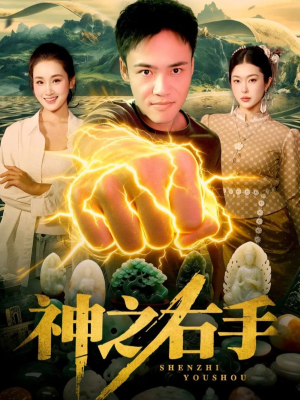 神之右手（100集）全网独播免费看