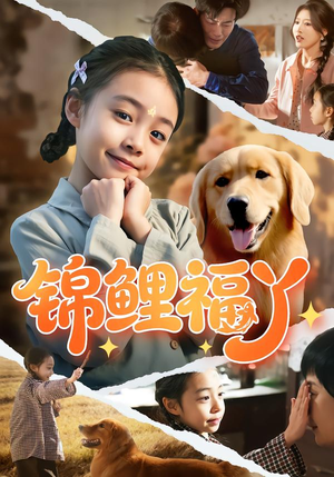 锦鲤福丫（81集）在哪看是免费的